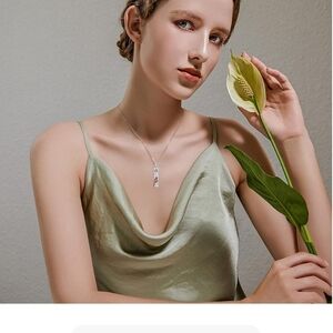 Stainless Sterling Silver Red Cardinal Memorial Pendant Necklace New